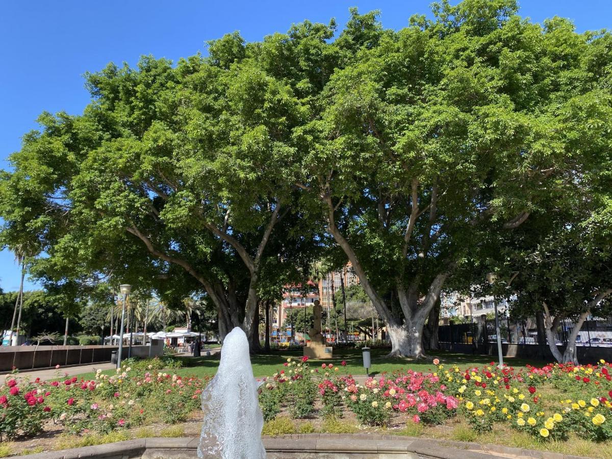 Benecharo By Canariasgetaway Las Palmas de Gran Canaria Dış mekan fotoğraf
